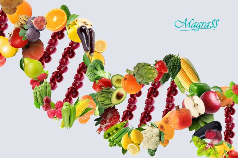 Cientista em laboratório moderno examinando fita de DNA próximo a frutas, vegetais e computador com dados genéticos.
