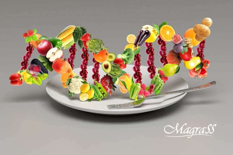 Silhueta humana transparente com dupla hélice de DNA e alimentos saudáveis ao redor em fundo branco.